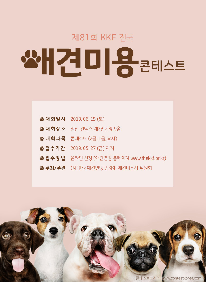 제81회 KKF 전국 애견미용 콘테스트